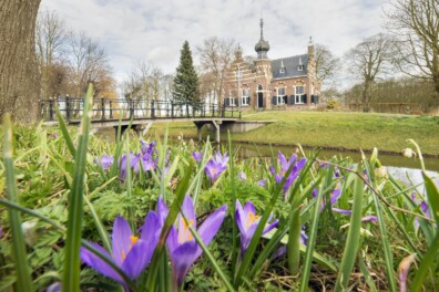 Stinsenplanten: 15 toplocaties om ze te bewonderen