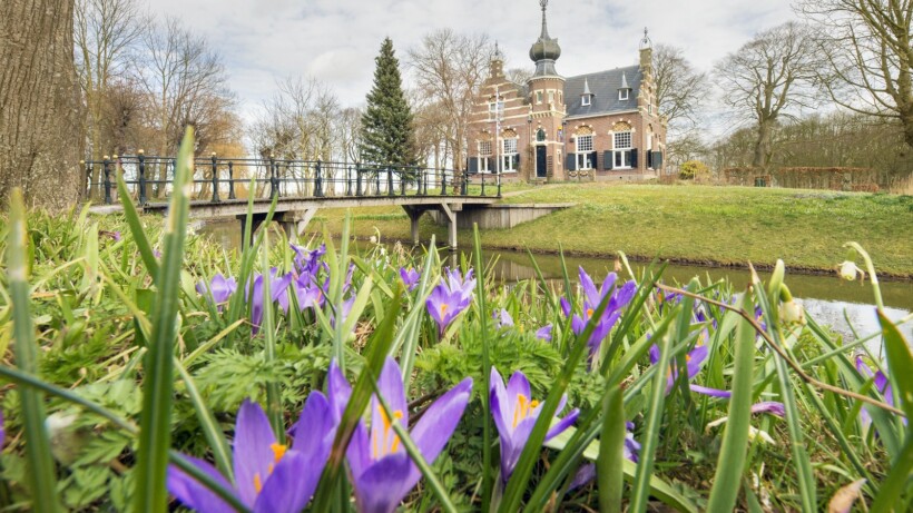 Stinsenplanten: 15 toplocaties om ze te bewonderen