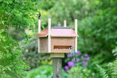 Maak zelf een vogelhuisje met badje