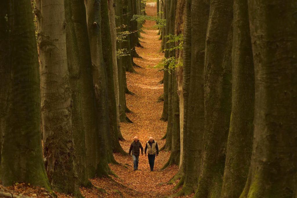 wandelroute dieren: wandelaars Koningslaan