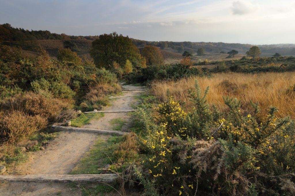 Herikhuizerveld Posbank