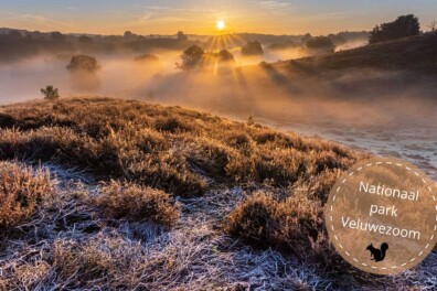 Nationaal park Veluwezoom: avontuurlijk wandelen