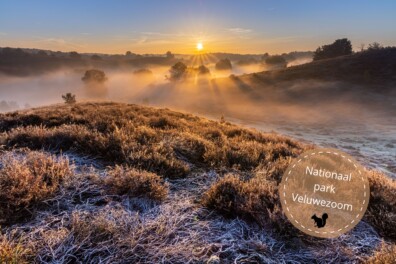 Nationaal park Veluwezoom: avontuurlijk wandelen