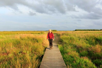 Wandelen Fochteloërveen: een vleugje landlopersgevoel