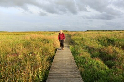 Wandelen Fochteloërveen: een vleugje landlopersgevoel