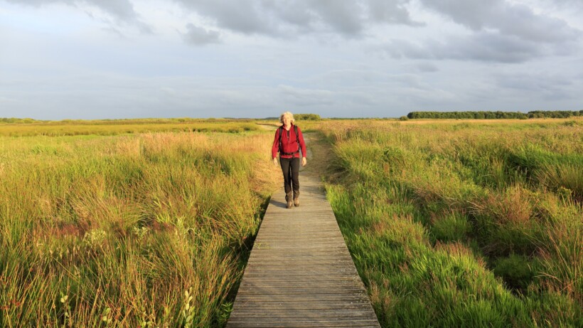 Wandelen Fochteloërveen: een vleugje landlopersgevoel