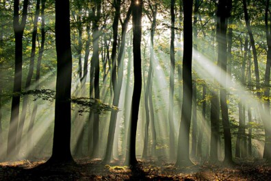 Jakobsladder of zonneharp: wat is het nu?