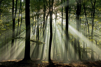 Jakobsladder of zonneharp: wat is het nu?