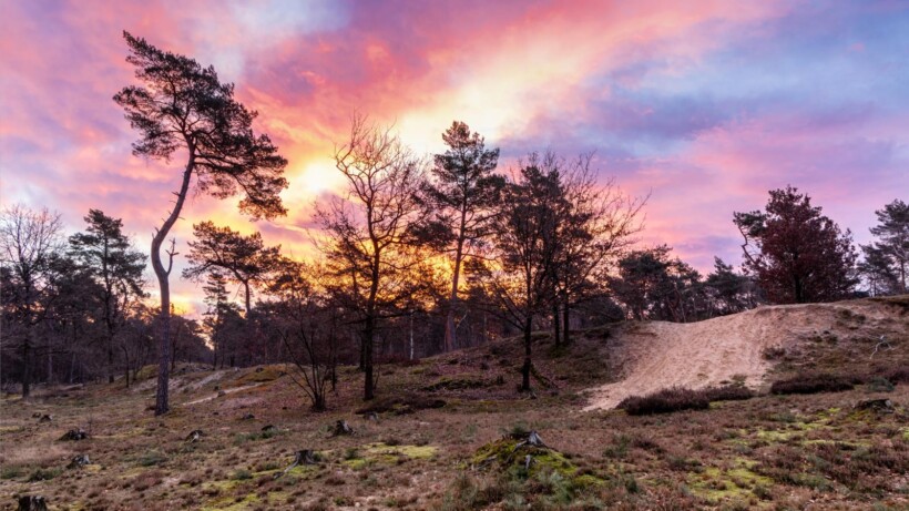 Landschappen door de Lens (video)