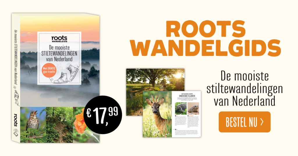 wandelgids over stilte en wandelen
