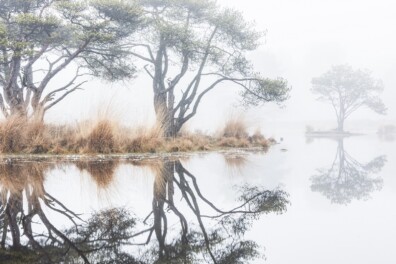Strijbeekse Heide: wandelen rond vennen & vijvers