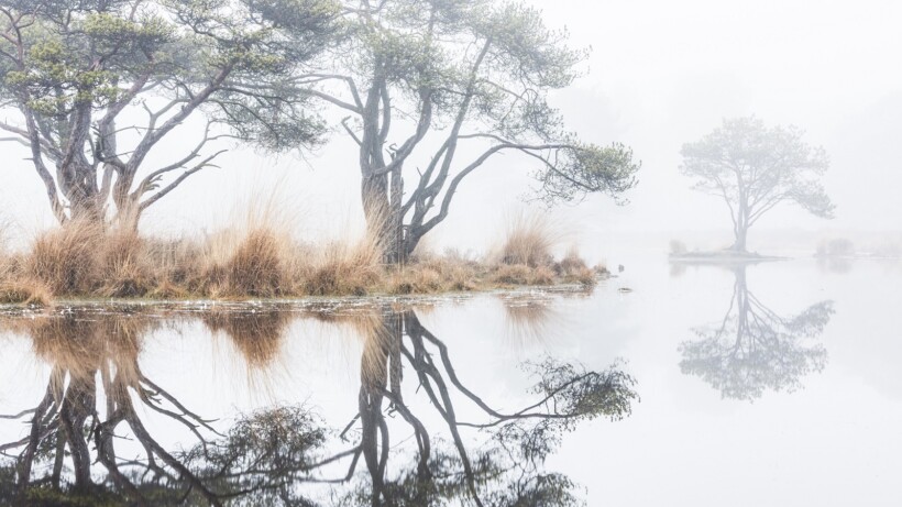 Strijbeekse Heide: wandelen rond vennen & vijvers
