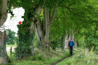 Wandelen Achterhoek: de 8 mooiste natuurroutes