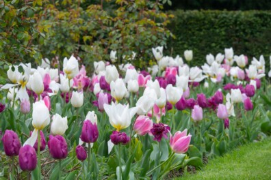Agenda voor april
