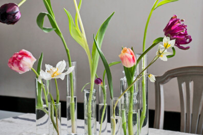 Zo hou je tulpen op de vaas lang goed