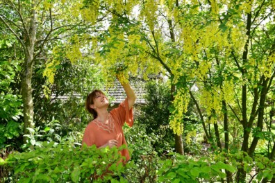 Ecologisch tuinontwerp in de tuin van Dorth