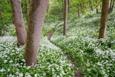 Daslook: twee mooie hotspots