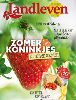 Aardbeien