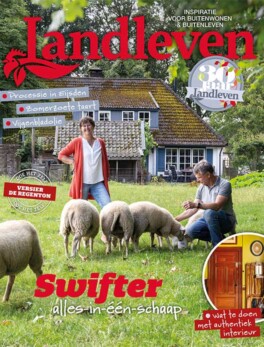 Juni: zomerzoete taart
