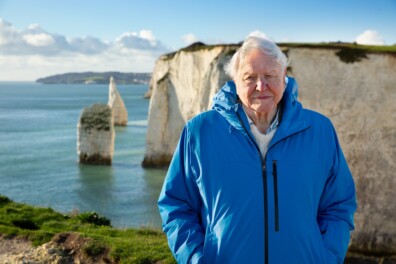 Ocean: David Attenborough vertolkt de stem van de diepte