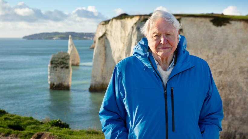 Ocean: David Attenborough vertolkt de stem van de diepte