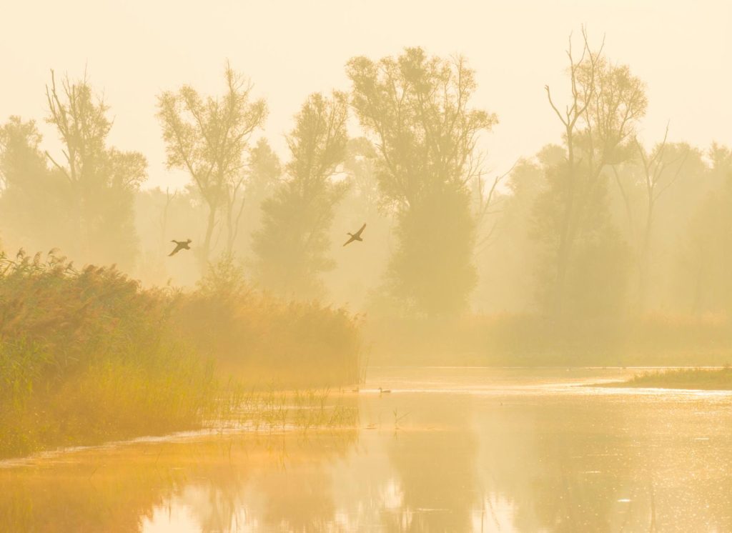 nationaal park nieuw land