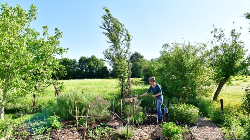 Begin je pluktuin: tips van expert Brenda Gruppen