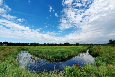 Wandeling van de maand juni: Trage Tocht Balloo