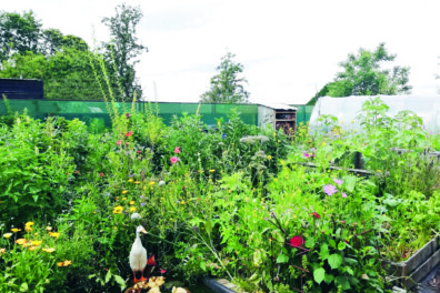 Loopeenden: 6 tips & weetjes