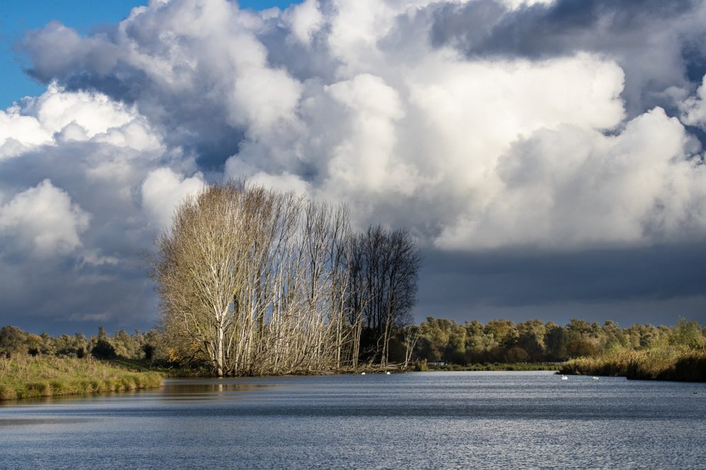 nationaal park de
biesbosch