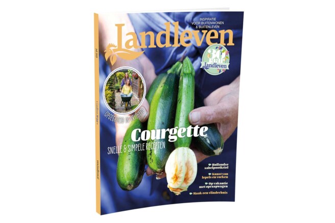 Juli: courgette-overvloed