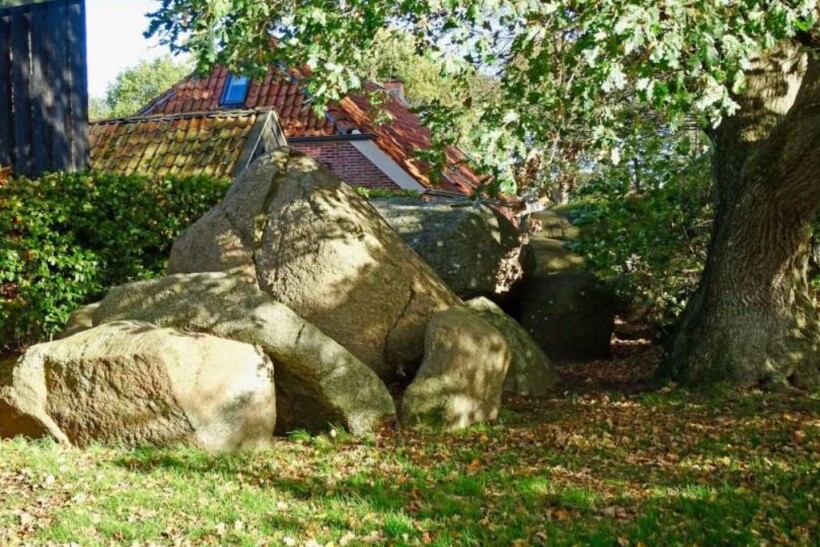 Fietsroute Hunebedboom in Midlaren