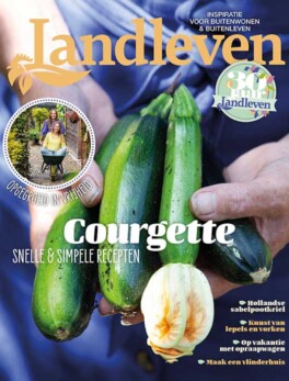 Juli: courgette-overvloed