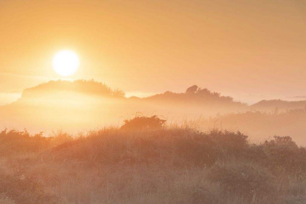 Duingebied Meijendel in de ochtend met mist