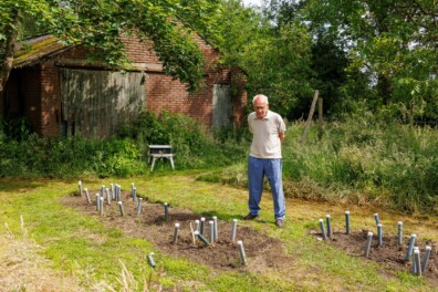 Asperges groeien beter in de buis