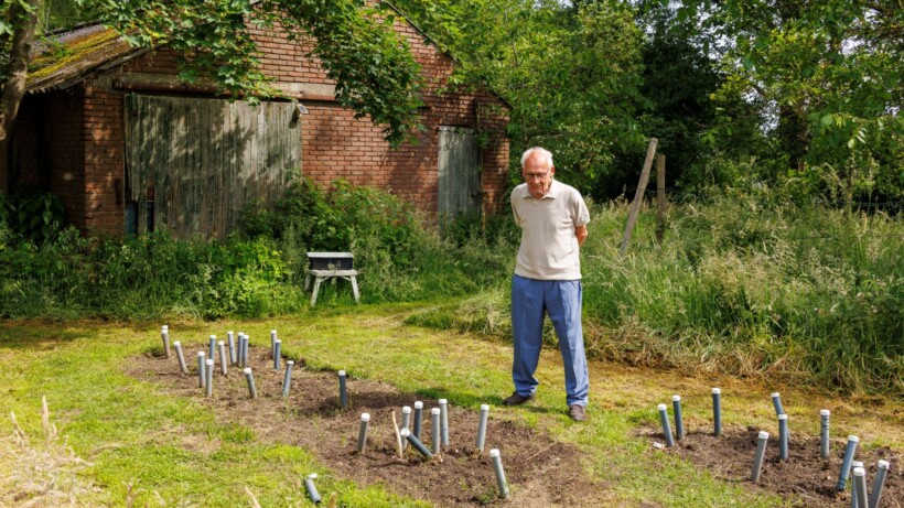 Asperges groeien beter in de buis