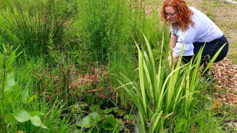 Wadi aanleggen in de tuin