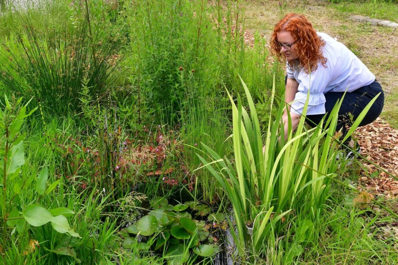 Wadi aanleggen in de tuin