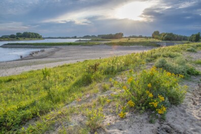 Pannerden: struinen door een rijk rivierenland