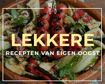 Menu-item Lekker eten