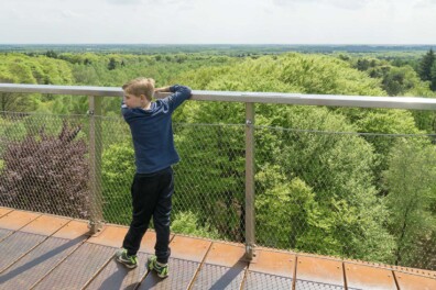 Wandeling van de maand augustus: Groene Wissel Maarn 3