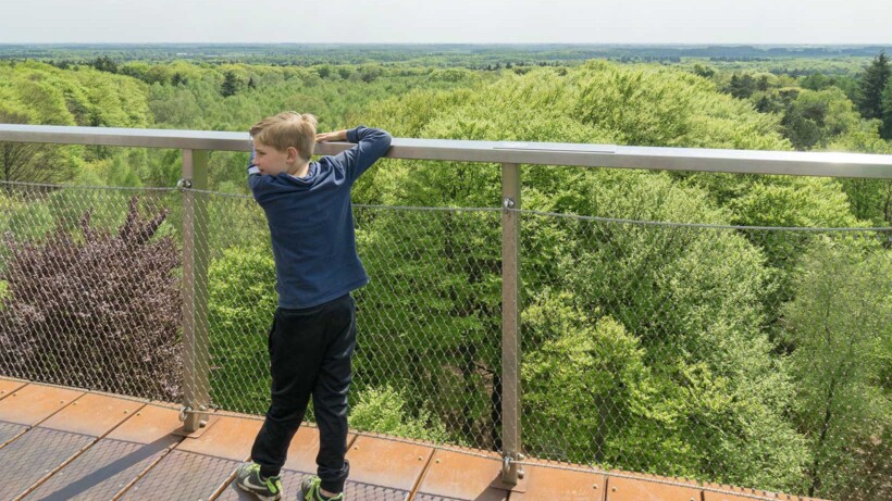 Wandeling van de maand augustus: Groene Wissel Maarn 3