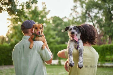 Bescherm je hond tegen teken (advertorial)