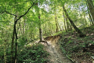 Wandeling van de maand: Trage Tocht Tegelen