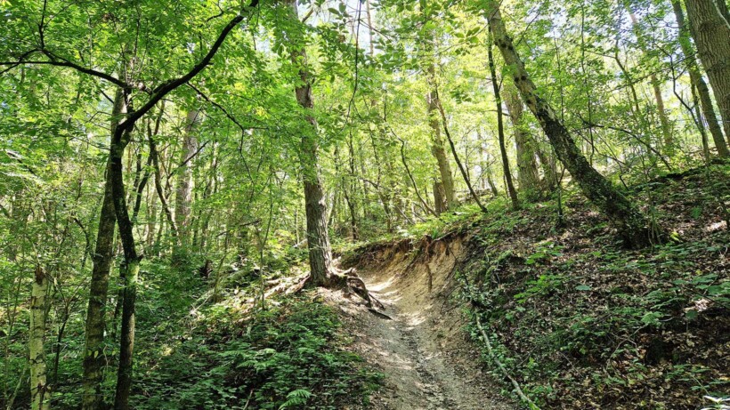 Wandeling van de maand: Trage Tocht Tegelen