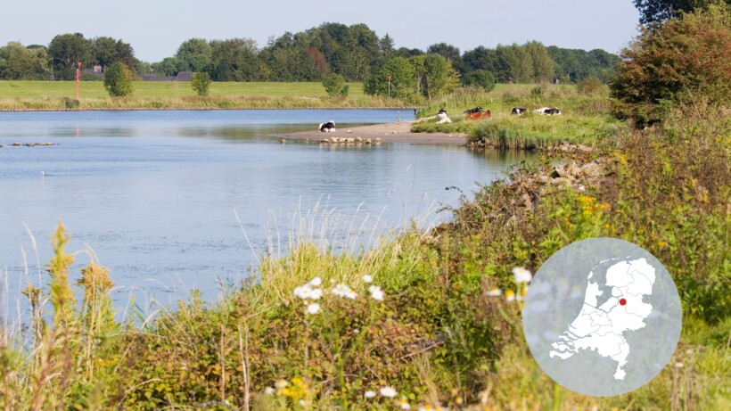 Zalkerbos: groen erfgoed langs de IJssel