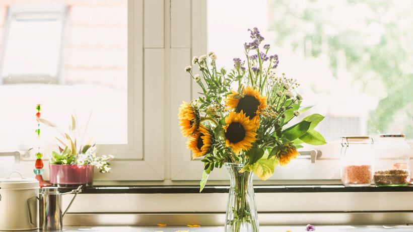 5 tips tegen hangende zonnebloemen