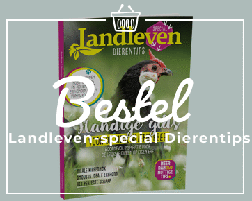 Cover Dierentips met kip
