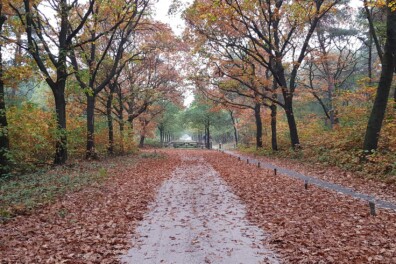 Wandeling van de maand: Knopenrondje Slabroek