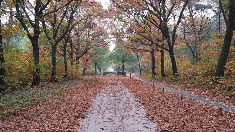 Wandeling van de maand: Knopenrondje Slabroek